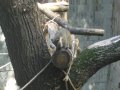 IMGP0827.JPG